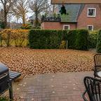 Garten Garten