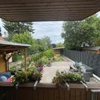 Blick zum Garten