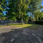 Gemeinschaftsgarten